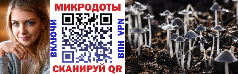 Псилоцибиновые грибы мицелий  Купить где  Осташков 